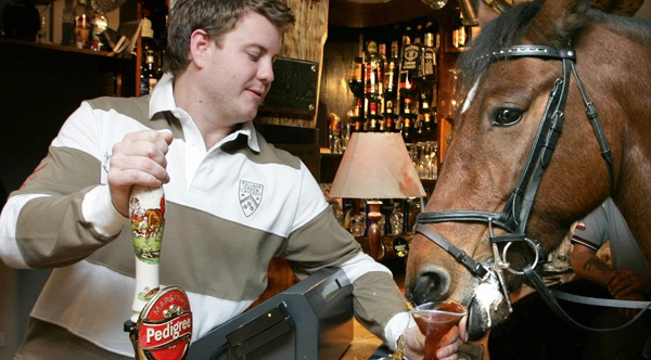 60 Pub Marketing Ideas: How to Market a Pub